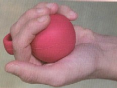 Rehab Exercise Ball DM8176